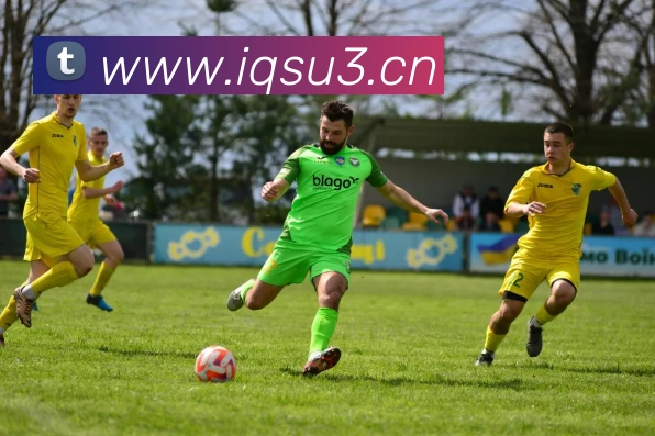 多媒体互动体验